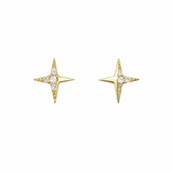 Shimmering Star Earrings