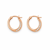 Chic Golden Hoop Earrings